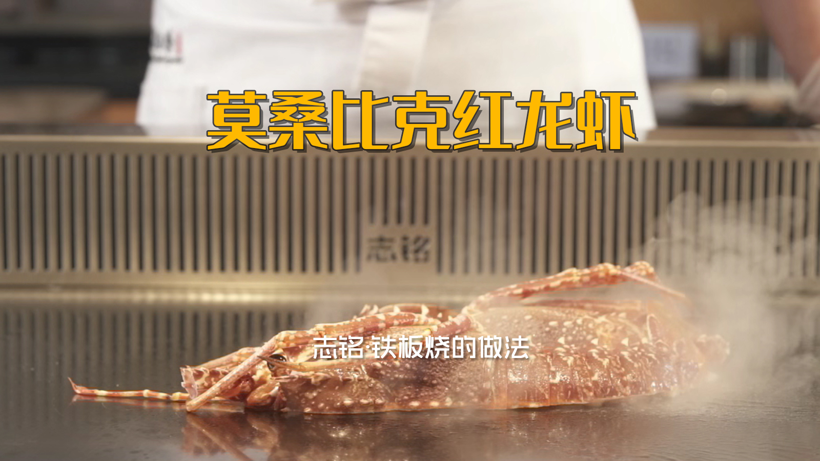 莫桑比克紅龍蝦